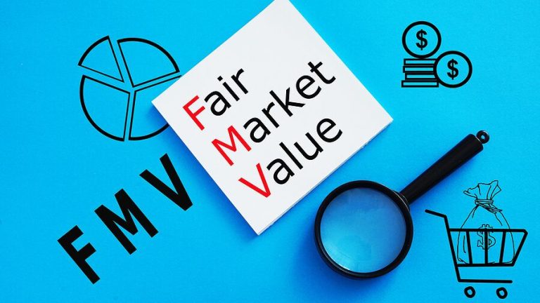 Fair Market Valuation of Energy Assets and the Role of Expert Advisory